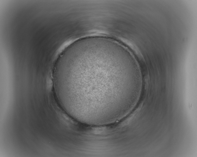 X0000110911363200906251349