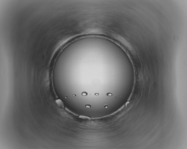 X0000110911364200906251349