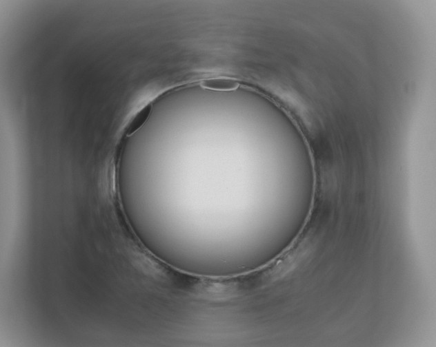 X0000110911365200906251349