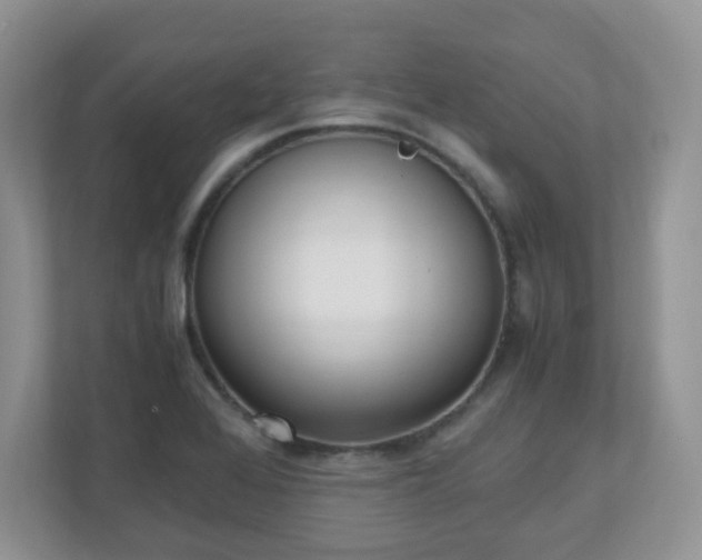 X0000110911368200906251349