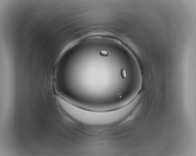 X0000110911369200906251349