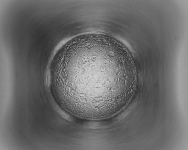 X0000110911371200906251349