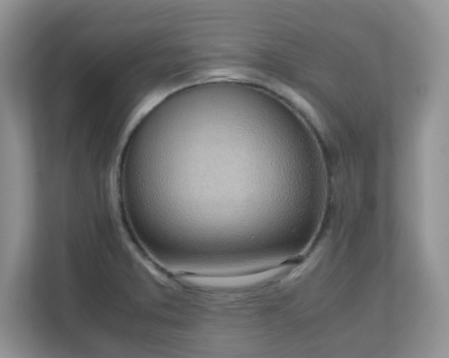 X0000110911373200906251349