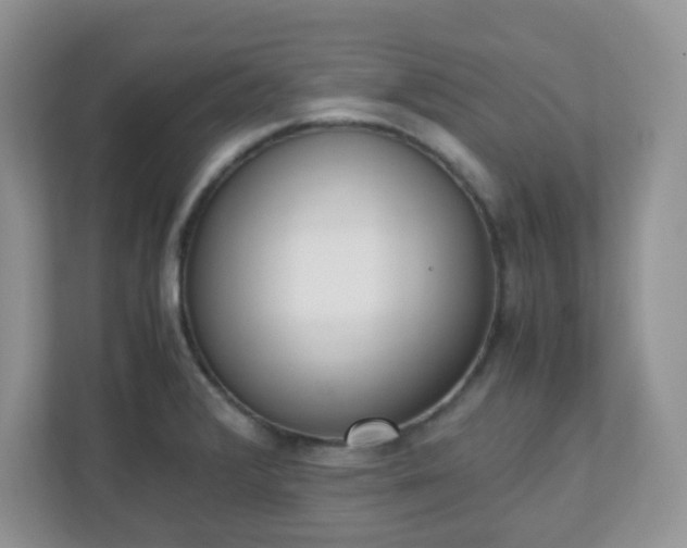 X0000110911376200906251349