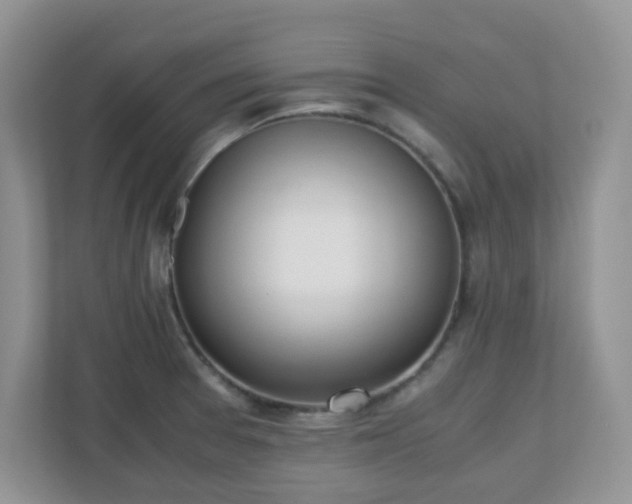 X0000110911377200906251349