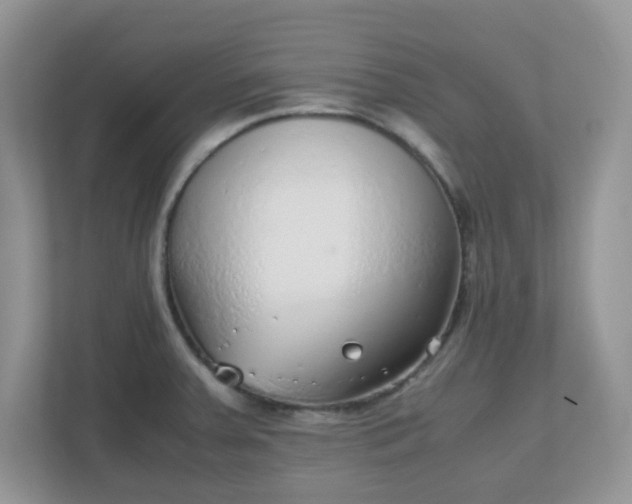 X0000110911379200906251349