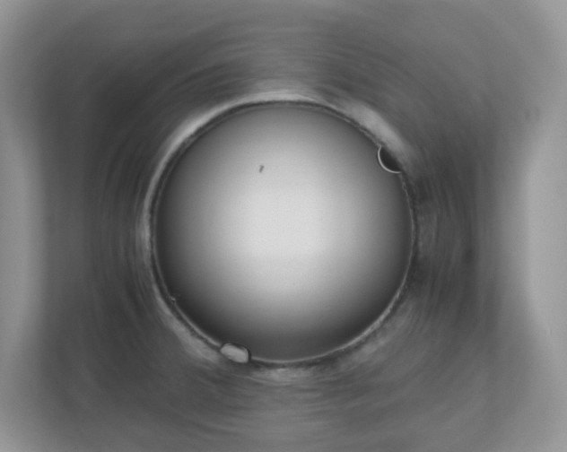 X0000110911380200906251349