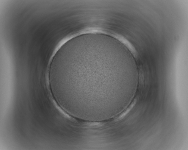 X0000110911382200906251349