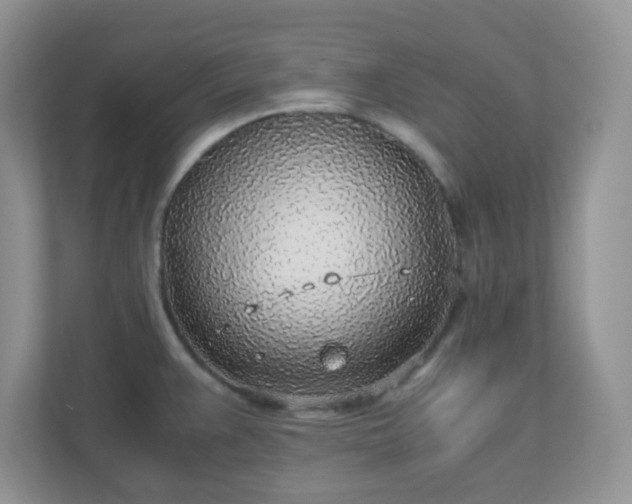 X0000110911383200906251349