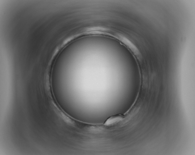 X0000110911384200906251349