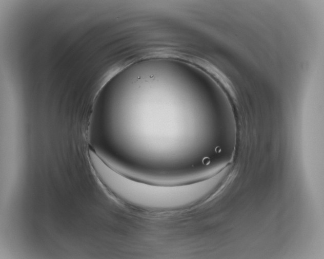 X0000110911385200906251349