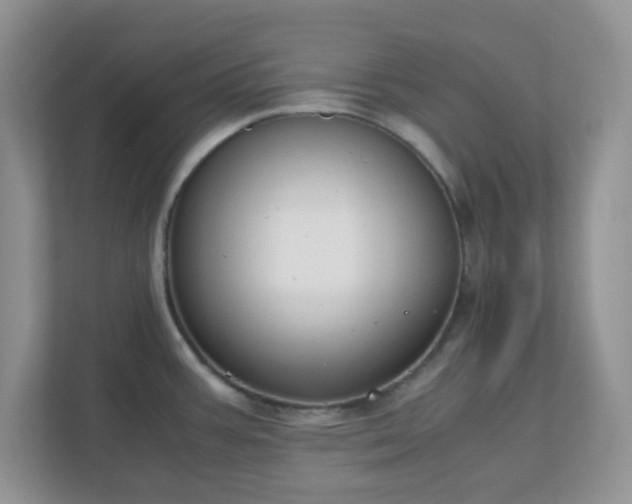 X0000110911387200906251349