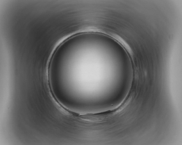 X0000110911388200906251349