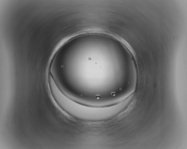 X0000110911389200906251349