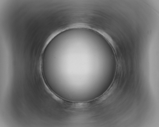 X0000110911390200906251349