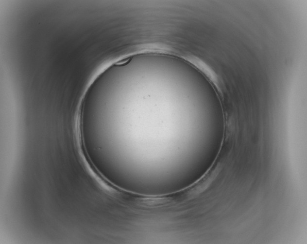 X0000110911391200906251349