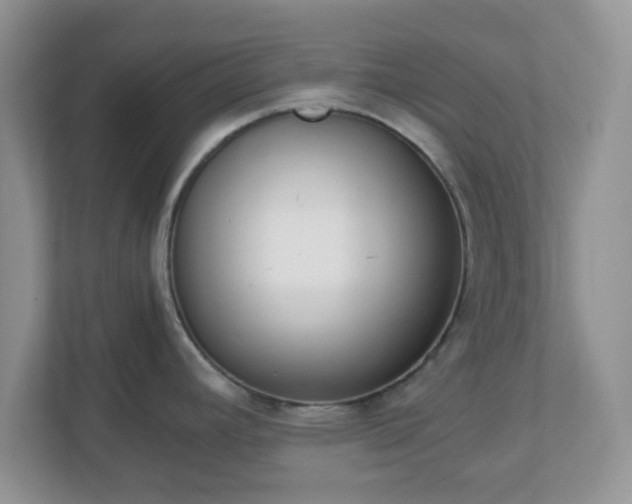 X0000110911392200906251349