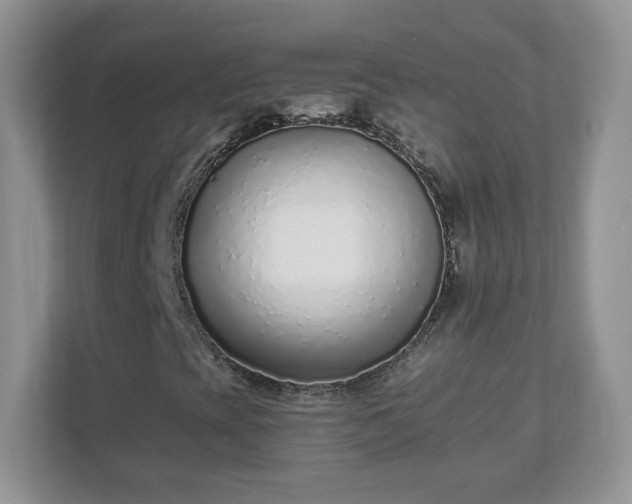 X0000110911393200906251348