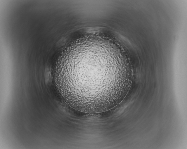 X0000110911394200906251348