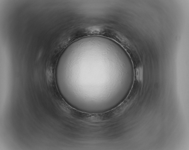 X0000110911395200906251348