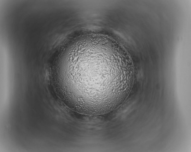 X0000110911397200906251348