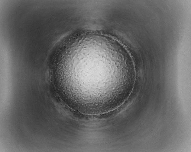 X0000110911398200906251348