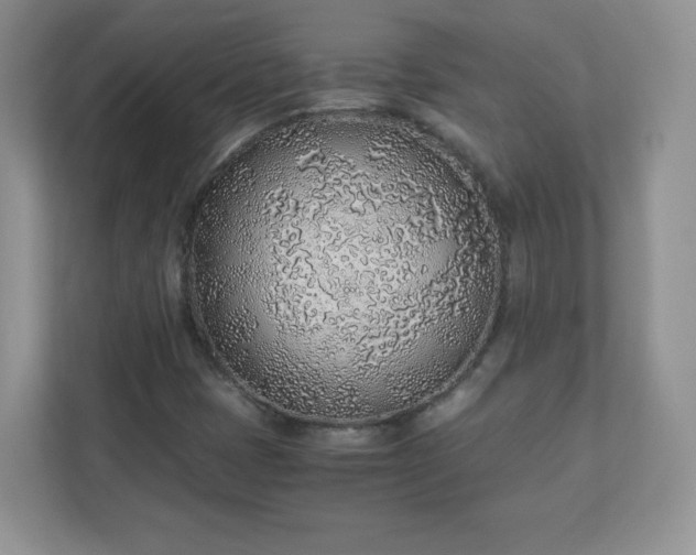 X0000110911401200906251348