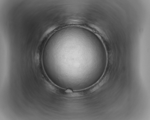 X0000110911402200906251348