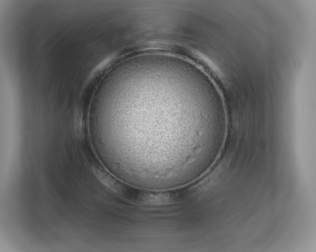 X0000110911403200906251348