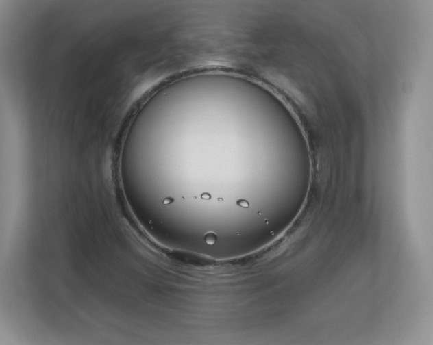 X0000110911404200906251348