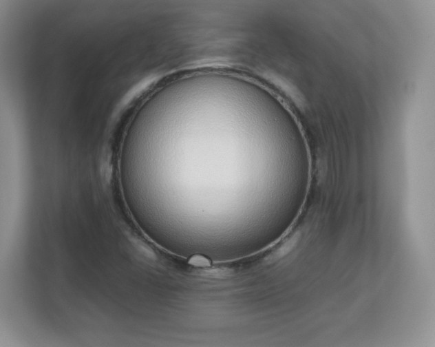 X0000110911406200906251348