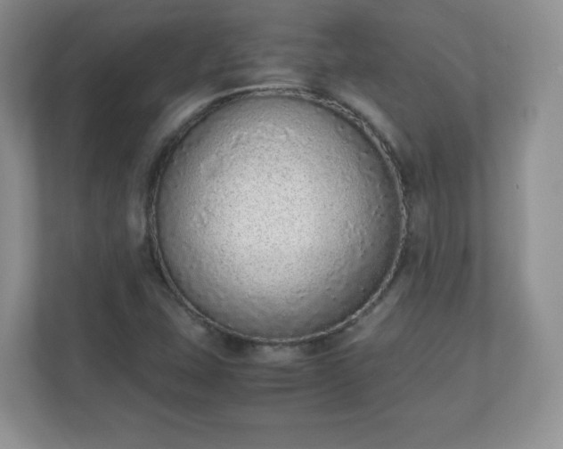 X0000110911407200906251348