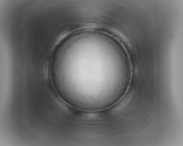 X0000110911409200906251348