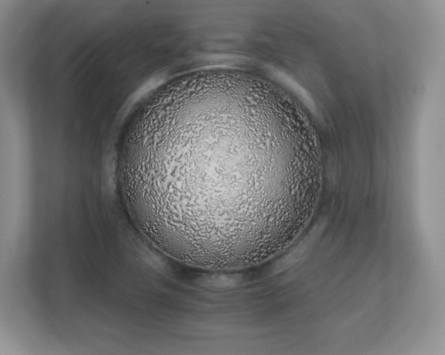 X0000110911411200906251348