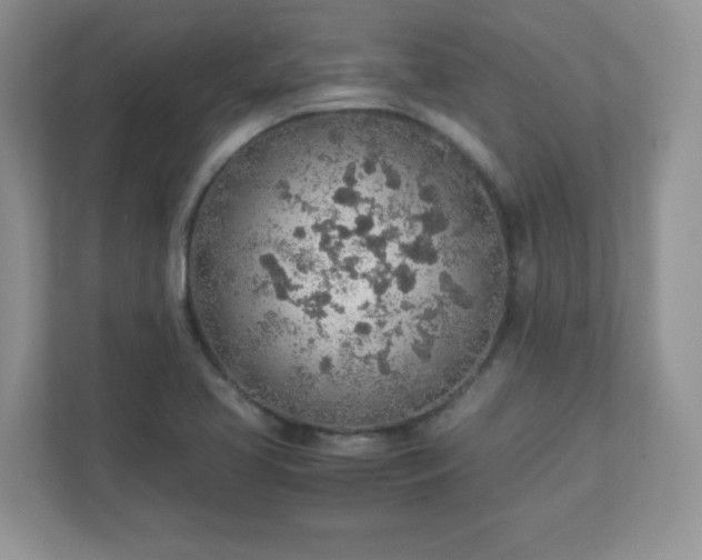 X0000110911413200906251348