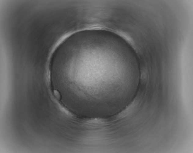 X0000110911414200906251348