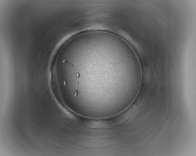 X0000110911416200906251348