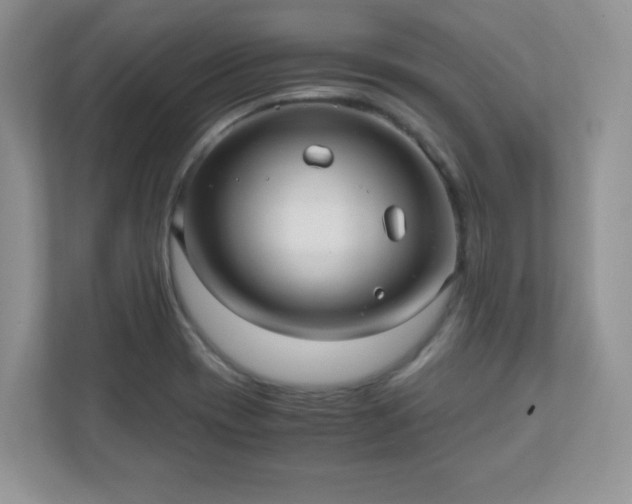 X0000110911417200906251348