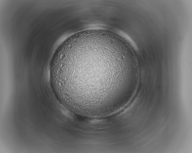 X0000110911419200906251348