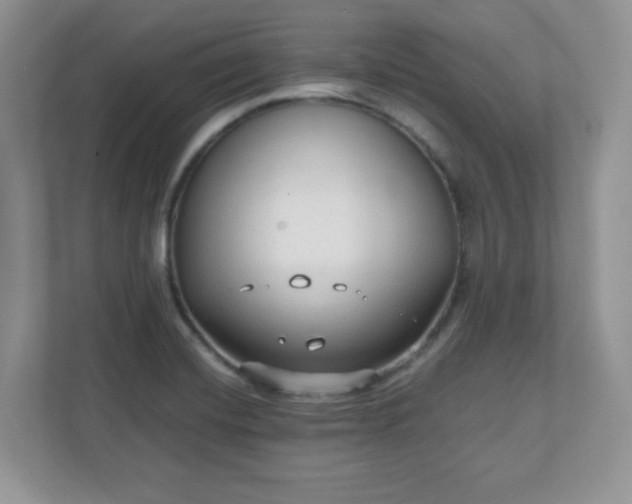 X0000110911420200906251348