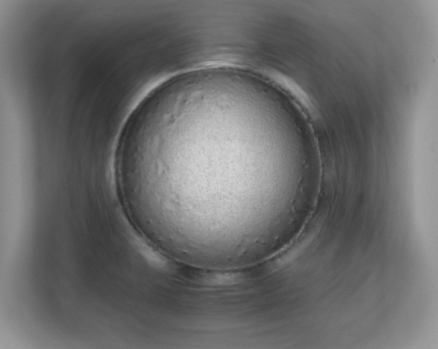 X0000110911423200906251348