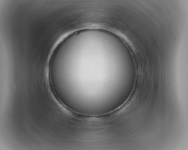 X0000110911424200906251348