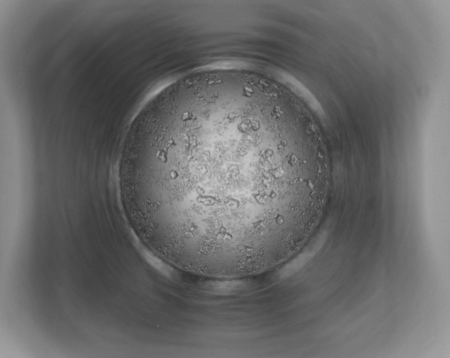 X0000110911425200906251348