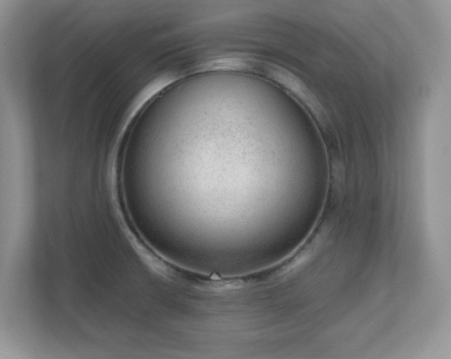 X0000110911426200906251348