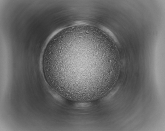 X0000110911427200906251348