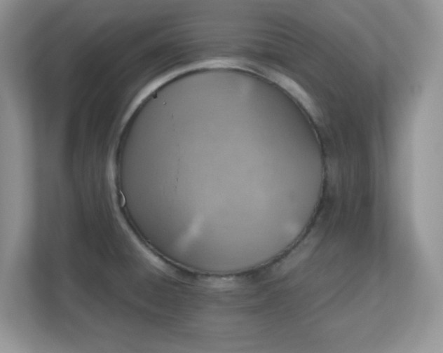 X0000110911428200906251348