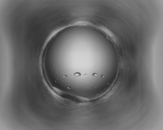 X0000110911430200906251348