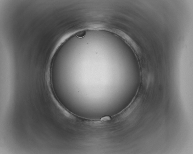 X0000110911432200906251348