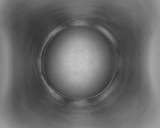 X0000110911434200906251349