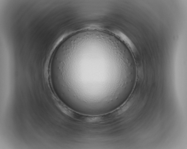 X0000110911435200906251349